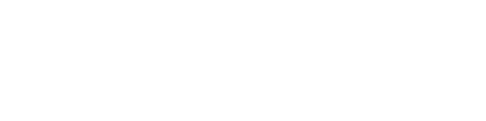 Wasla POS Logo