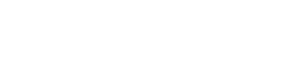Wasla POS Logo